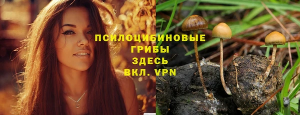 apvp Беломорск