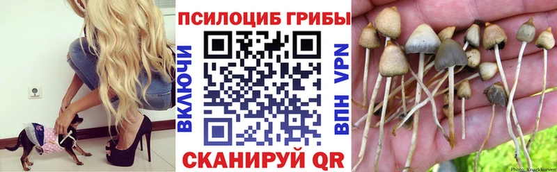 Псилоцибиновые грибы мухоморы  Нижнеудинск 